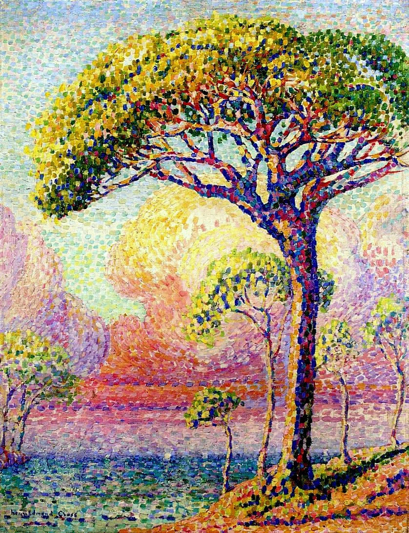 Un pino, 1905